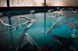 piscine pour les cours d'aquabiking